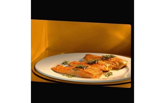 Waeco Dometic OG 2000 Horno De Gas Empotrado Con Grill Y Plato Giratorio 20 Litros - Imagen 2