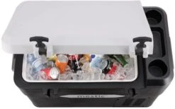 Mestic MCCA-42 Refrigerador De Compresor AC/DC 12 / 24 V - 42 Litros